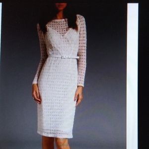 Nanette Lepore Ambrosia Lace Dress Cream Long Sleeve Slip Lined Knee Length 8